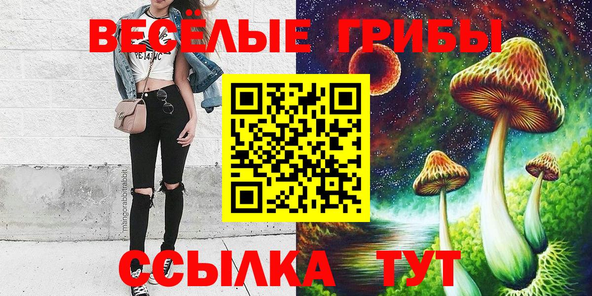 где продают   Псилоцибиновые грибы прущие грибы  Вход с VPN  Гагарин 
