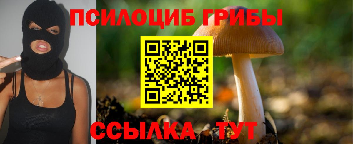 Псилоцибиновые грибы прущие грибы Гагарин